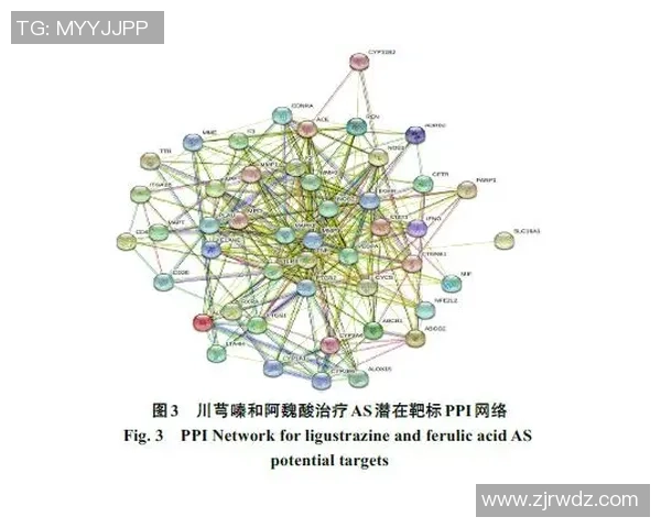 南京极限运动队灵活性表现的数据分析与提升策略探讨