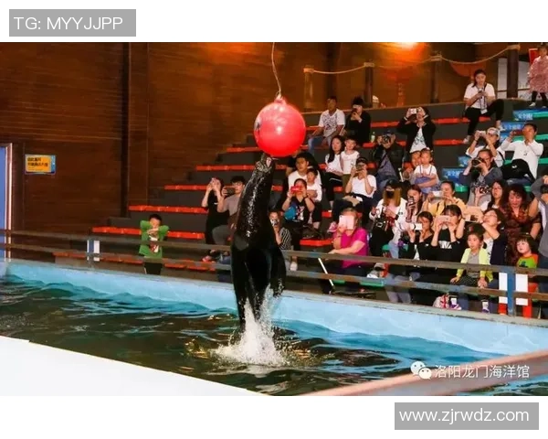 圣保罗与防卫者激战正酣谁能在这场对决中笑到最后